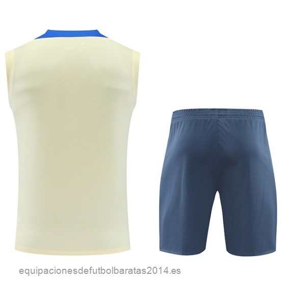 Nuevo Entrenamiento Sin Mangas Conjunto Completo Inter Milan 24/25 Amarillo Gris Baratas